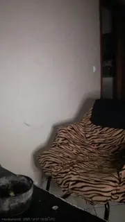 maethurtsex2 live snapshot on Voice Chat Line from United Kingdom