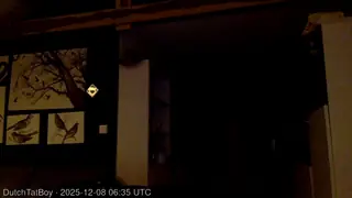 DutchTatBoy live snapshot on Voice Chat Line from Netherlands