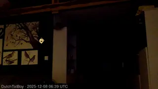 DutchTatBoy live snapshot on Voice Chat Line from Países Bajos