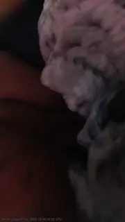 NoOnesCupOfTea live snapshot on Voice Chat Line from Estados Unidos