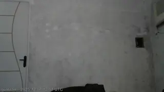 gutozam live snapshot on Voice Chat Line from Brazil