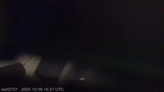 wolf2701 live snapshot on Voice Chat Line from Alemania