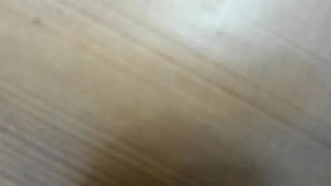 Photo of 1chathere